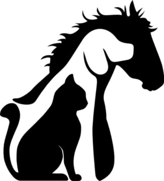 sticker autocollant chat animaux 8 5IDDH