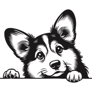 sticker autocollant chien animaux 3 CIFGB