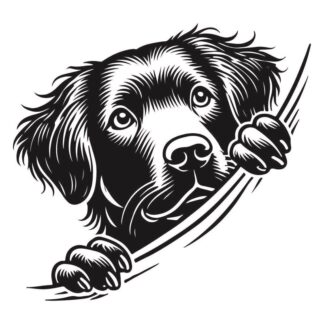 sticker autocollant chien animaux 5 PQZ6C