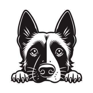 sticker autocollant chien animaux 6 TPZO9