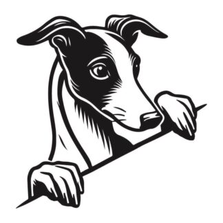 sticker autocollant chien animaux 10 3RH3H