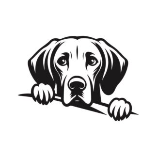 sticker autocollant Chien animaux 5 NMZPQ