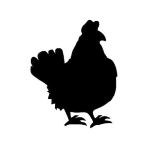 sticker autocollant Poule animaux 4 GD3SR