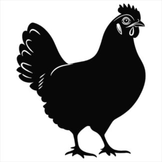 sticker autocollant Poule animaux 2 C7R41