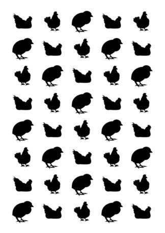 40 gommettes adhésives poule DPXHN