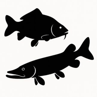 Sticker autocollant Poisson carpe et brochet décoration decostickerstore - EYC8PY