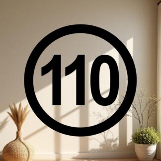 Sticker Autocollant 110 camion disque limitation  DLC547914