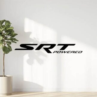 sticker autocollant Dodge 5 VUF41