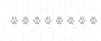 Sticker frise anti collision empreinte animaux fenêtre DZTWC