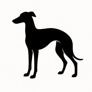 Sticker autocollant Whippet décoration decostickerstore - R3FXIG